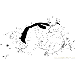 Baby Anteater Hanging on To Mother Dot to Dot Worksheet