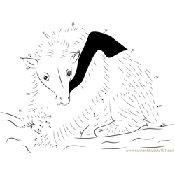Northern Tanmandua Anteater Dot to Dot Worksheet