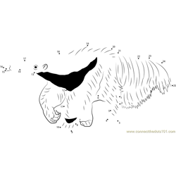 The Mighty Giant Anteater Dot to Dot Worksheet