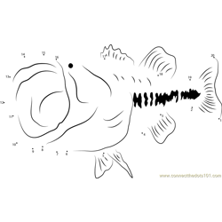 Bass Large Mouth Fish Mount Dot to Dot Worksheet