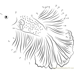White Betta Fish Dot to Dot Worksheet