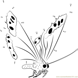 Fly Butterfly Dot to Dot Worksheet
