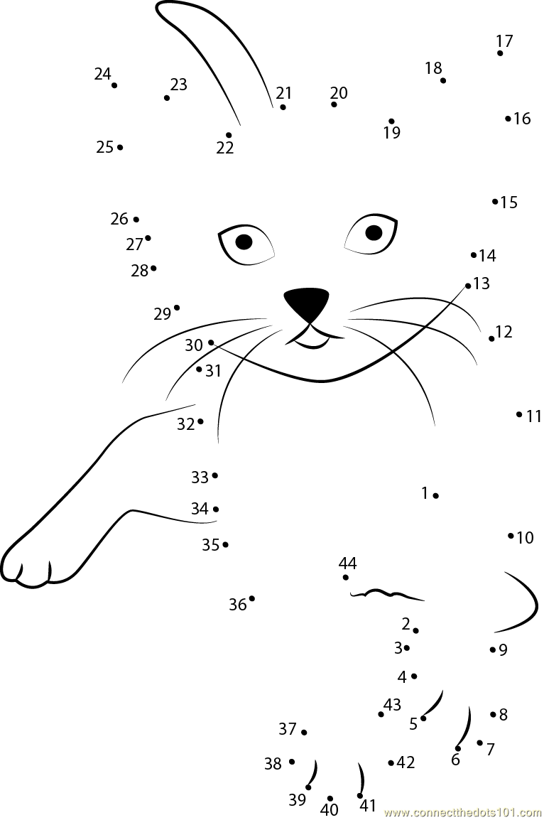 Cat Play Dot To Dot Printable Worksheet Connect The Dots