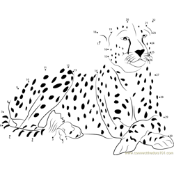 Cheetah Dot to Dot Worksheet