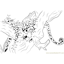 Sleeping Cheetah Dot to Dot Worksheet