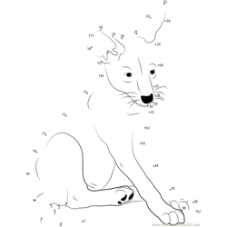 Coyote Pup Dot to Dot Worksheet