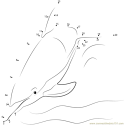 Casual Swim Dolphin Dot to Dot Worksheet