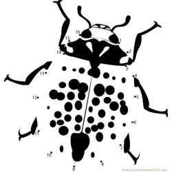 Rorschach Ladybug Dot to Dot Worksheet