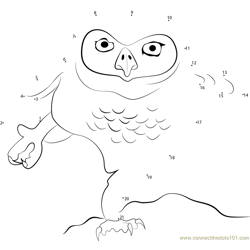 Owl Dance Dot to Dot Worksheet