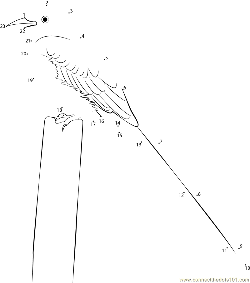 oklahoma state animal coloring pages - photo #18