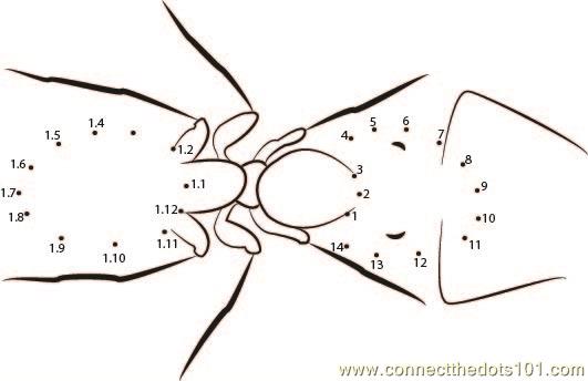Connect the Dots Ant (Insects > Ant) - dot to dots for kids