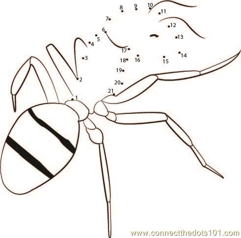 Connect the Dots Attack Of Ant (Insects > Ant) - dot to dots for kids