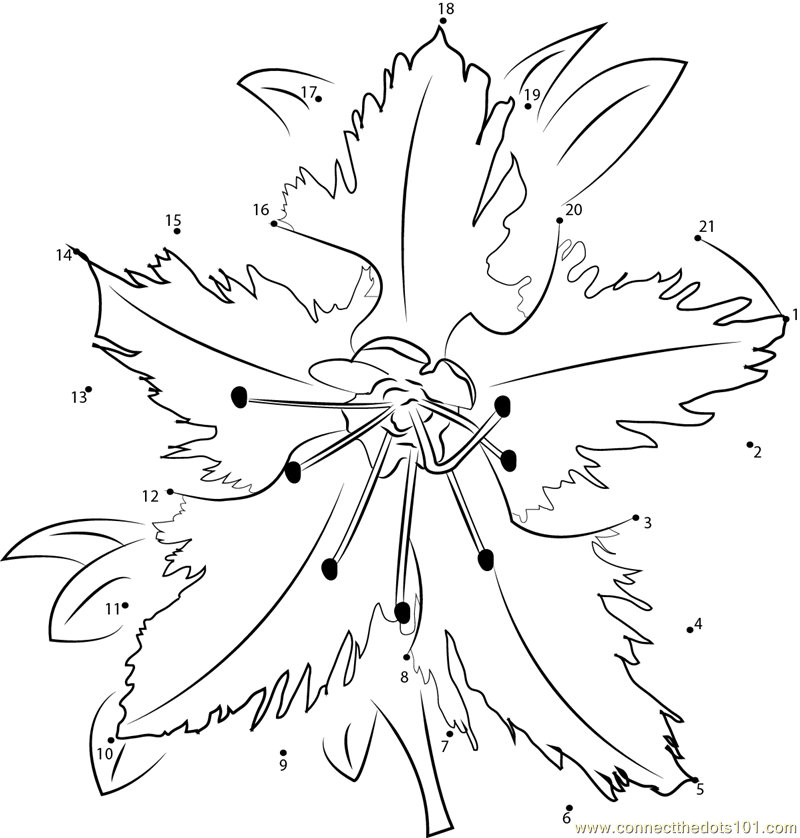 coloring pages for rhododendron - photo #27