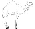 Connect the Dots Camel Safari (Animals > Camel) - dot to dots for kids