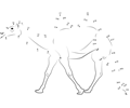 Connect the Dots Baby Camel Sahara Egypt (Animals > Camel) - dot to ...