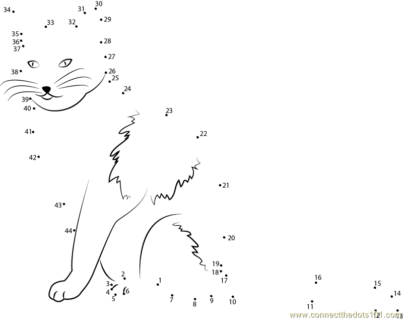Black and White Cat Dot to Dot Printable Worksheet Connect The Dots