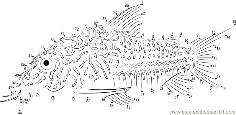 Connect the Dots Threestripe corydoras (Fishes > Catfish) - dot to dots