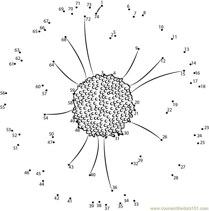 Connect The Dots Flower Dot To Dot Worksheet For Pres - vrogue.co