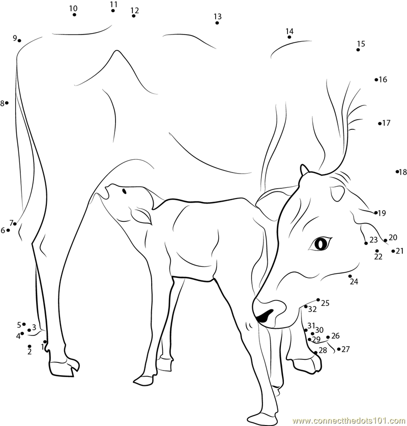 calf coloring pages - photo #46