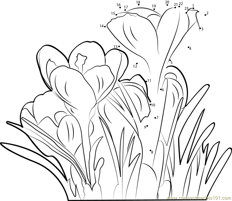 iggy azalea coloring pages to print - photo #10