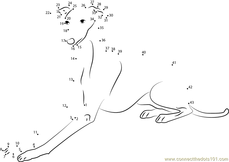Connect the Dots Italian Greyhound (Animals > Dog) - dot to dots for kids