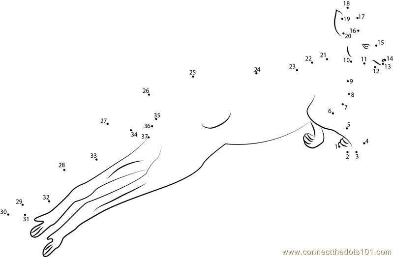 Connect the Dots Kangaroo Play (Animals > Kangroo) - dot to dots for kids