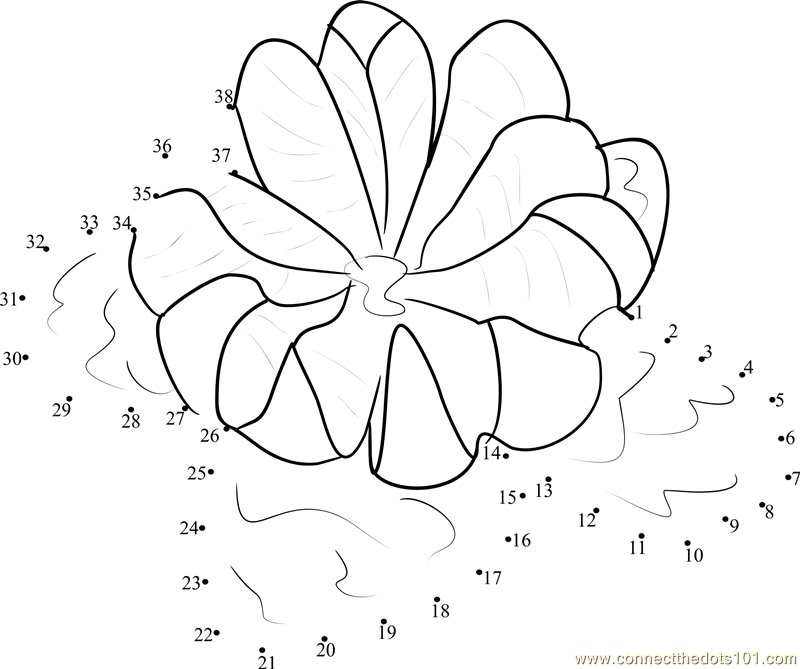 mandarin coloring pages printable free - photo #14
