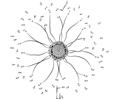 Connect the Dots Sun flower (Flowers > Sunflower) - dot to dots for kids