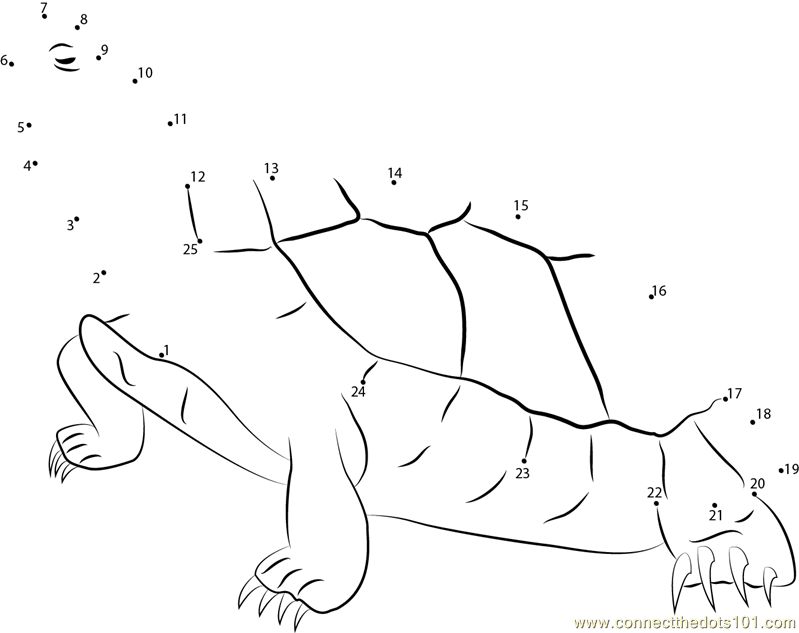 Red Eared Slider Coloring Pages