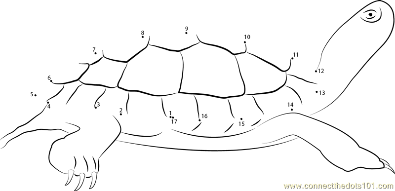 Connect the Dots Painted Turtle (Animals > Turtle) - dot to dots for kids