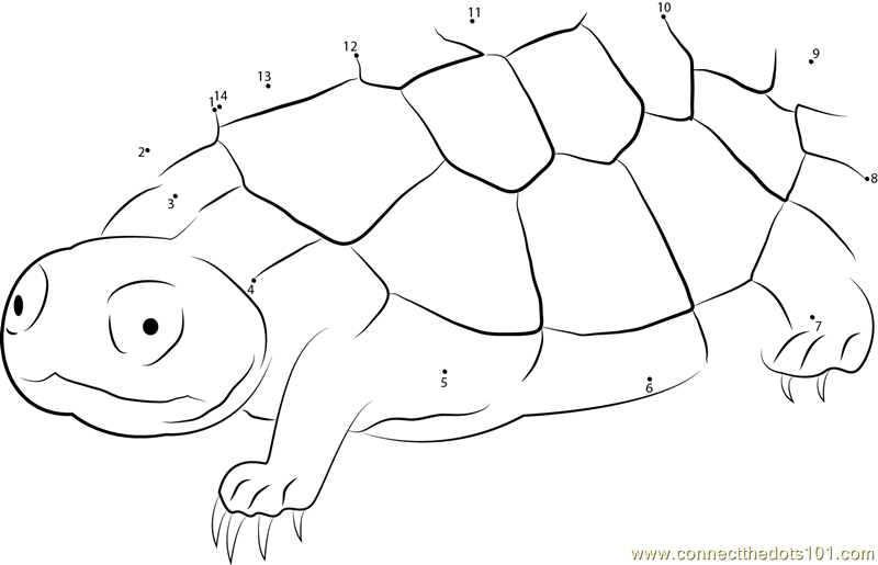 sad turtle coloring pages - photo #12