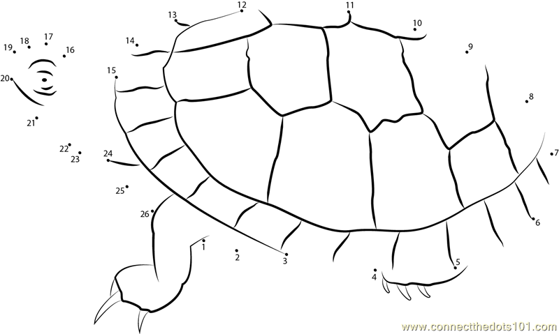 Connect the Dots Southern Painted Turtle (Animals > Turtle) - dot to