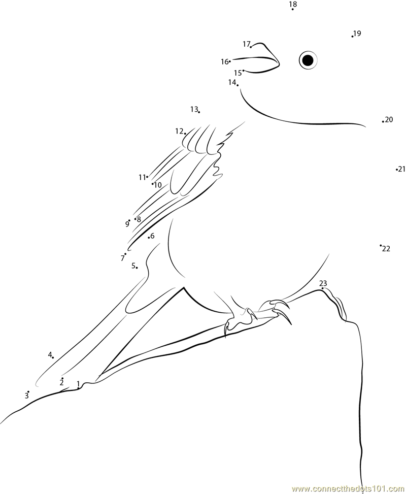 yellowhammer bird coloring pages - photo #34