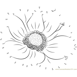 Anemone Connect the Dots Worksheets Printable for Kids