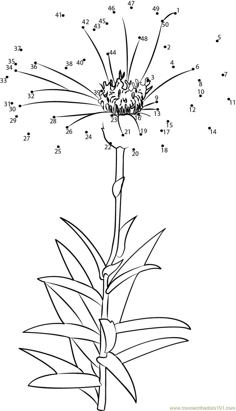Aster Flower dot to dot printable worksheet - Connect The Dots