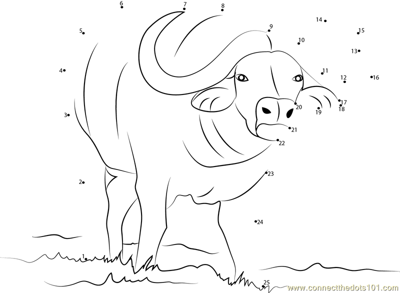 Formen Kontrovers dollar African Buffalo dot to dot printable worksheet - Connect The Dots