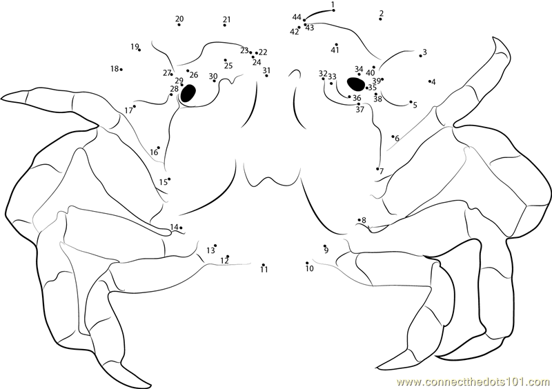 Red Crab Dot To Dot Printable Worksheet Connect The Dots