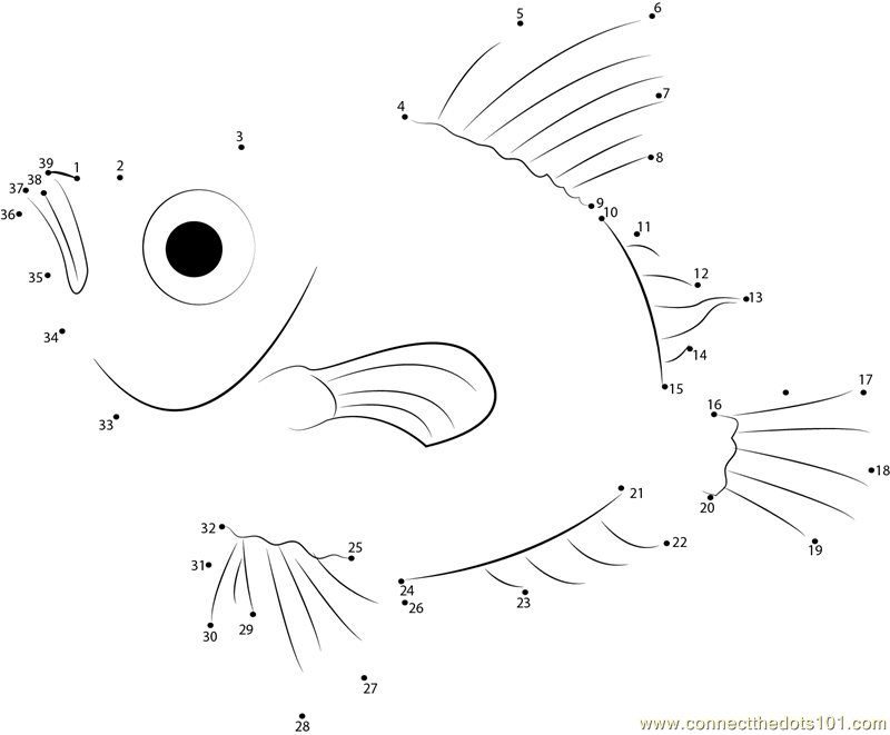 boar-fish-dot-to-dot-printable-worksheet-connect-the-dots
