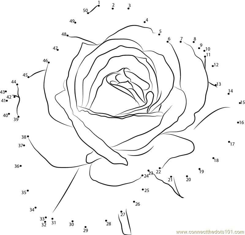 Petite Rose Flower dot to dot printable worksheet - Connect The Dots