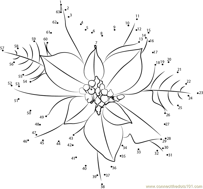 Poinsettia Flower dot to dot printable worksheet - Connect The Dots
