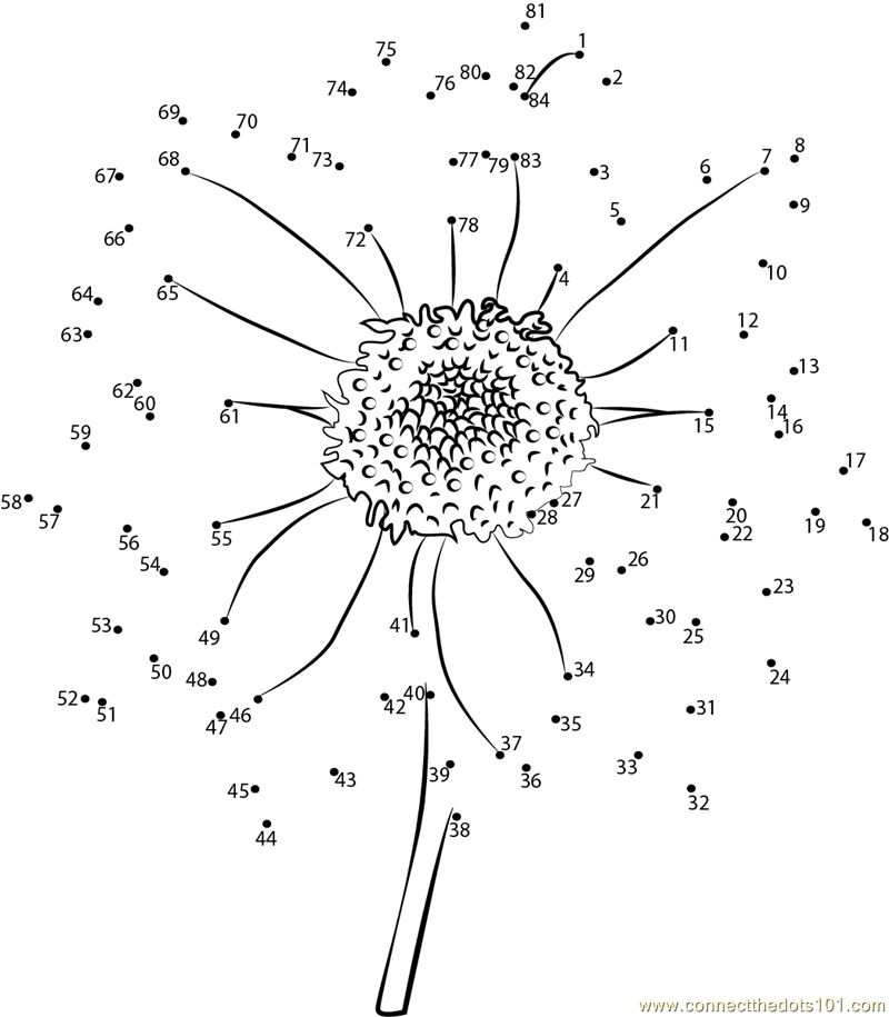 sun flower dot to dot printable worksheet connect the dots
