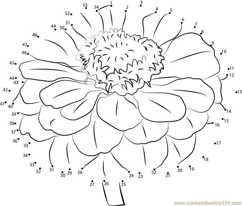 Zinnia dot to dot printable worksheet - Connect The Dots