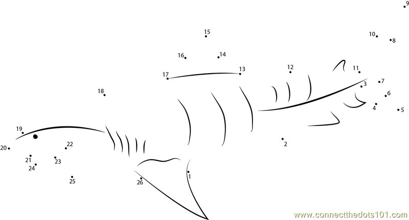 Connect the Dots Tiger Shark Underwater (Animals > Shark) - dot to dots ...